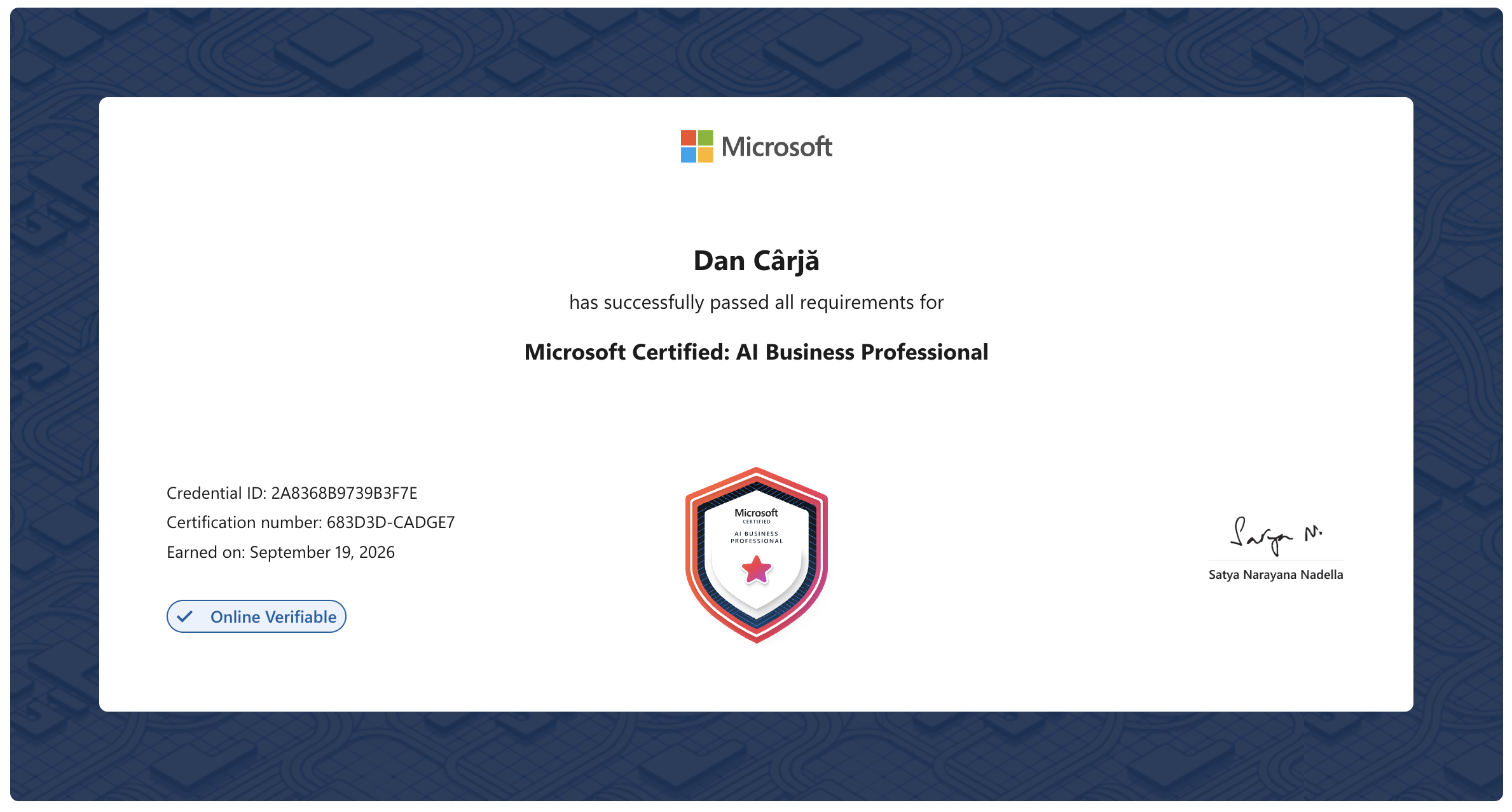Microsoft Certified - AI Business Professional - Dan Carja